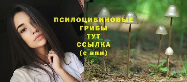 мяу мяу мука Осташков