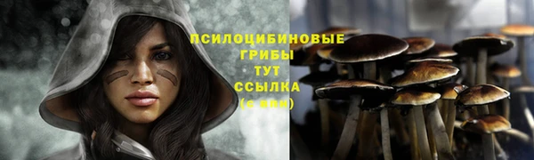 гашик Галич