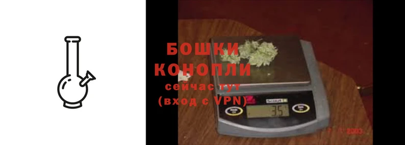 индика Вязники